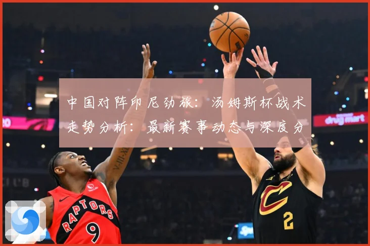 中国对阵印尼劲旅：汤姆斯杯战术走势分析：最新赛事动态与深度分析