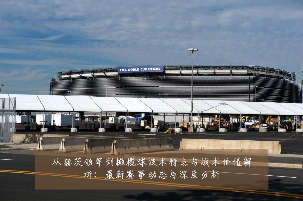 从赫茨领军到橄榄球技术特点与战术价值解析:最新赛事动态与深度分析
